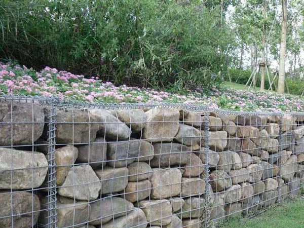 늺�ʯ�\�W(w��ng)