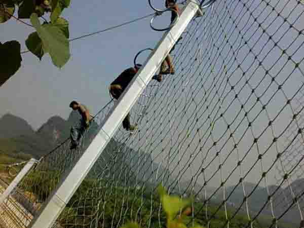 �坾�h���S��·���ڹ������ӷ��o�W(w��ng)