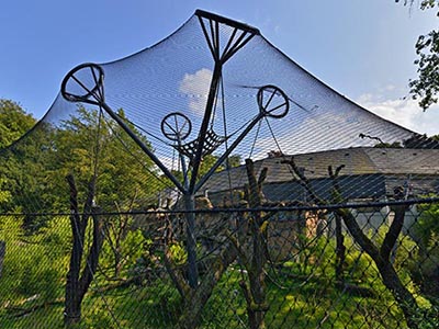 ����@���o�W(w��ng)