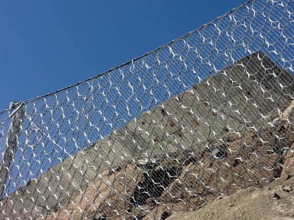 RXI-100�ͱ���(d��ng)���o(h��)�W(w��ng)