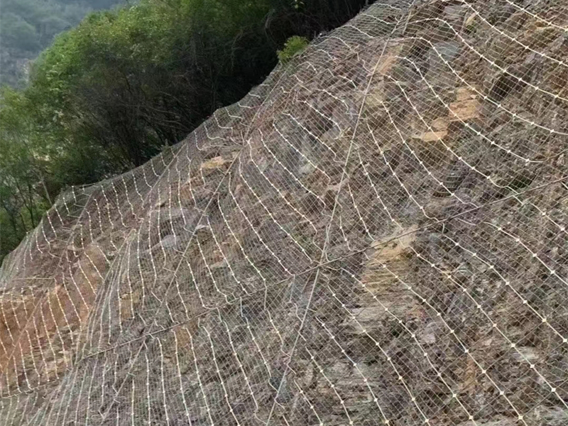 GAR1������(d��ng)���o(h��)�W(w��ng) 