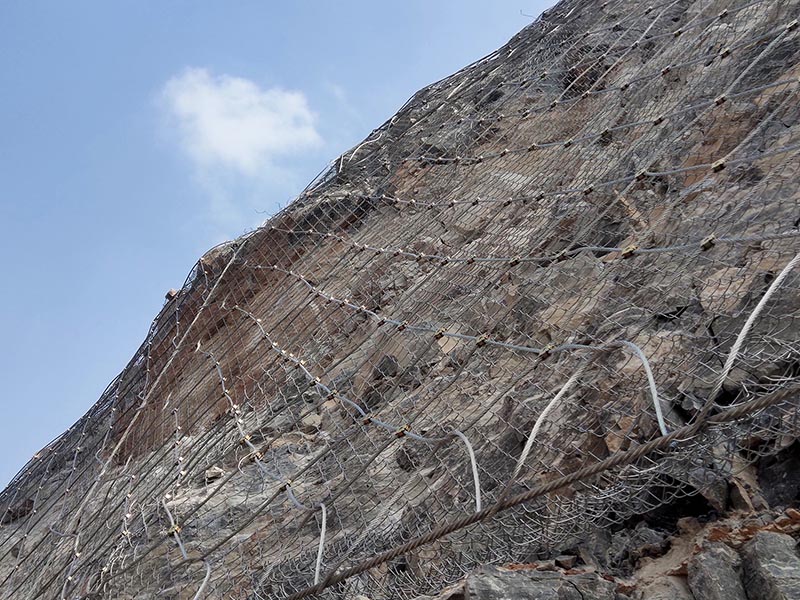 ����(d��ng)���o(h��)�W(w��ng)���̰���