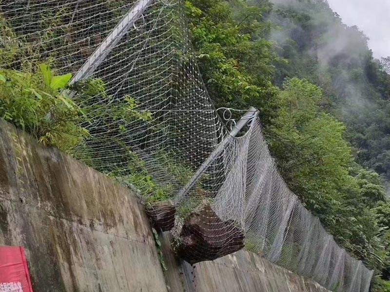 ����(d��ng)���o(h��)�W(w��ng)���̰���